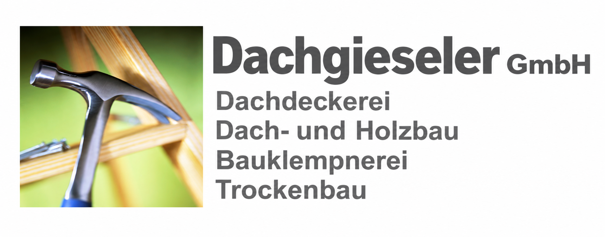 Dachgieseler GmbH